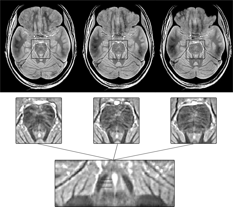 Figure 8—figure supplement 1.