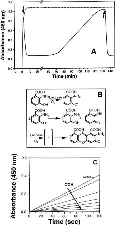 FIG. 7