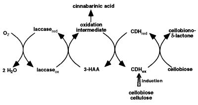 FIG. 8