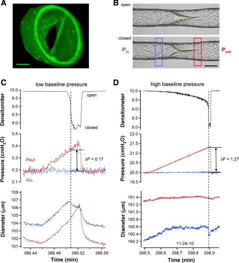 Fig. 4.