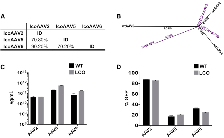 Figure 2