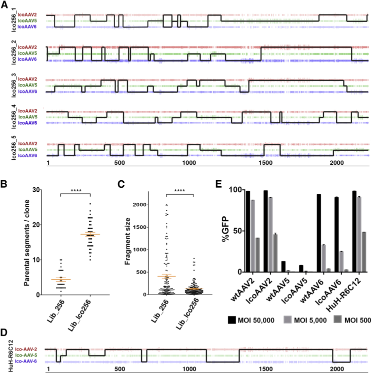 Figure 3