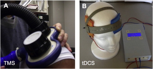 Fig. 3