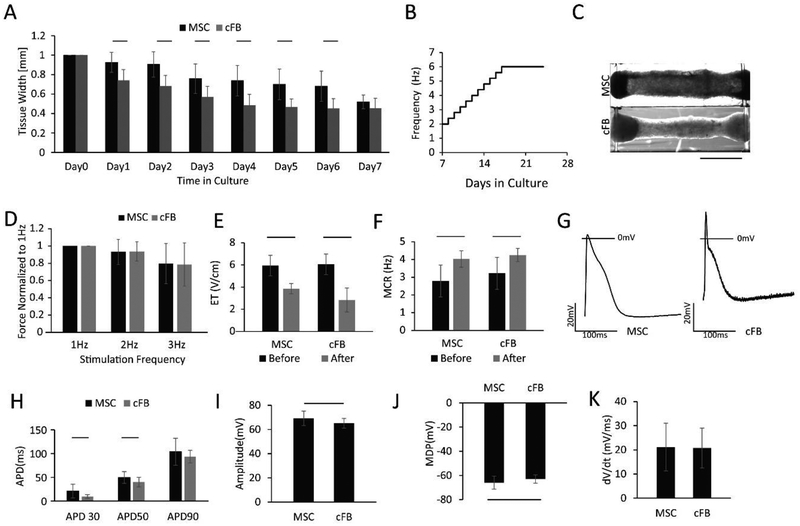 Figure 3: