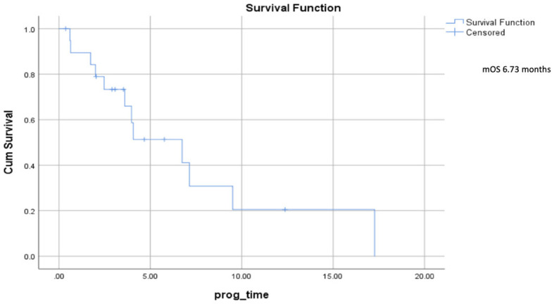 Figure 3