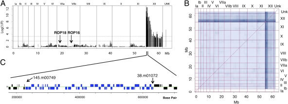 Fig. 2.