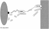FIG. 5.