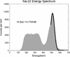 Fig. 13