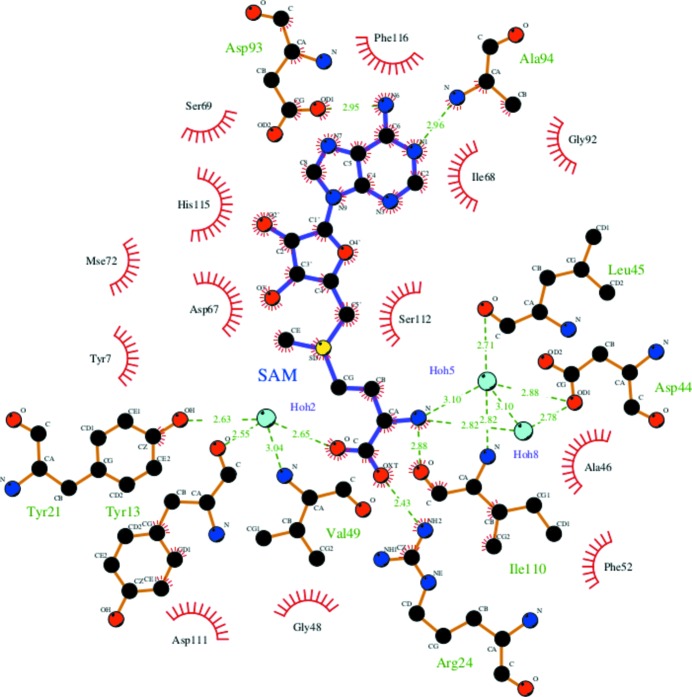 Figure 4