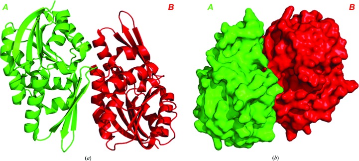 Figure 5