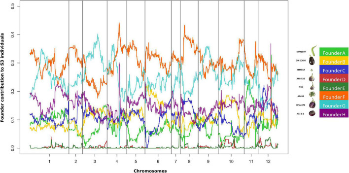 FIGURE 4