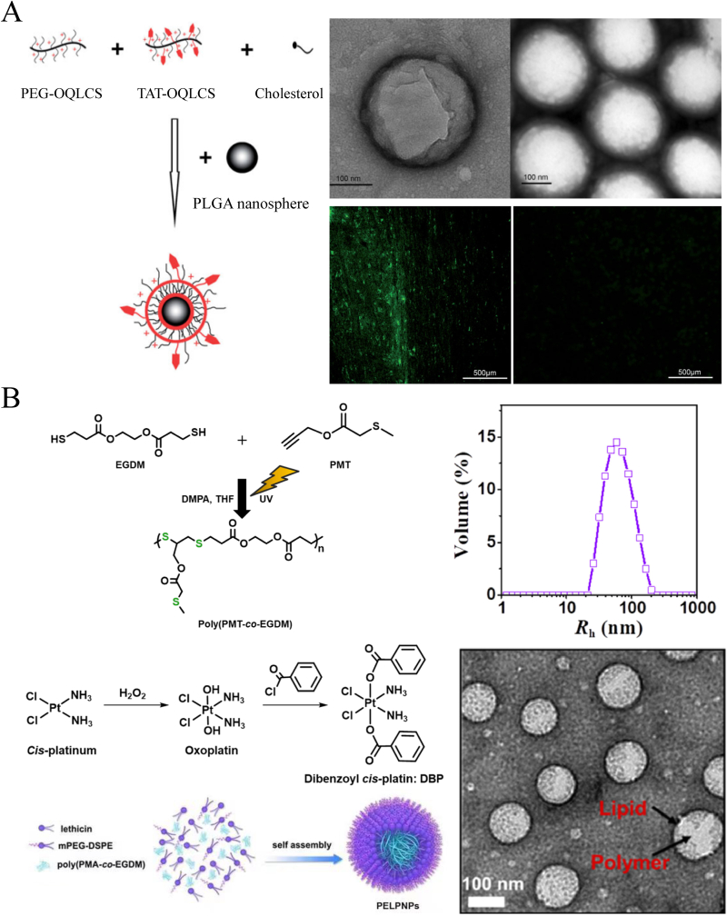 Fig. 15