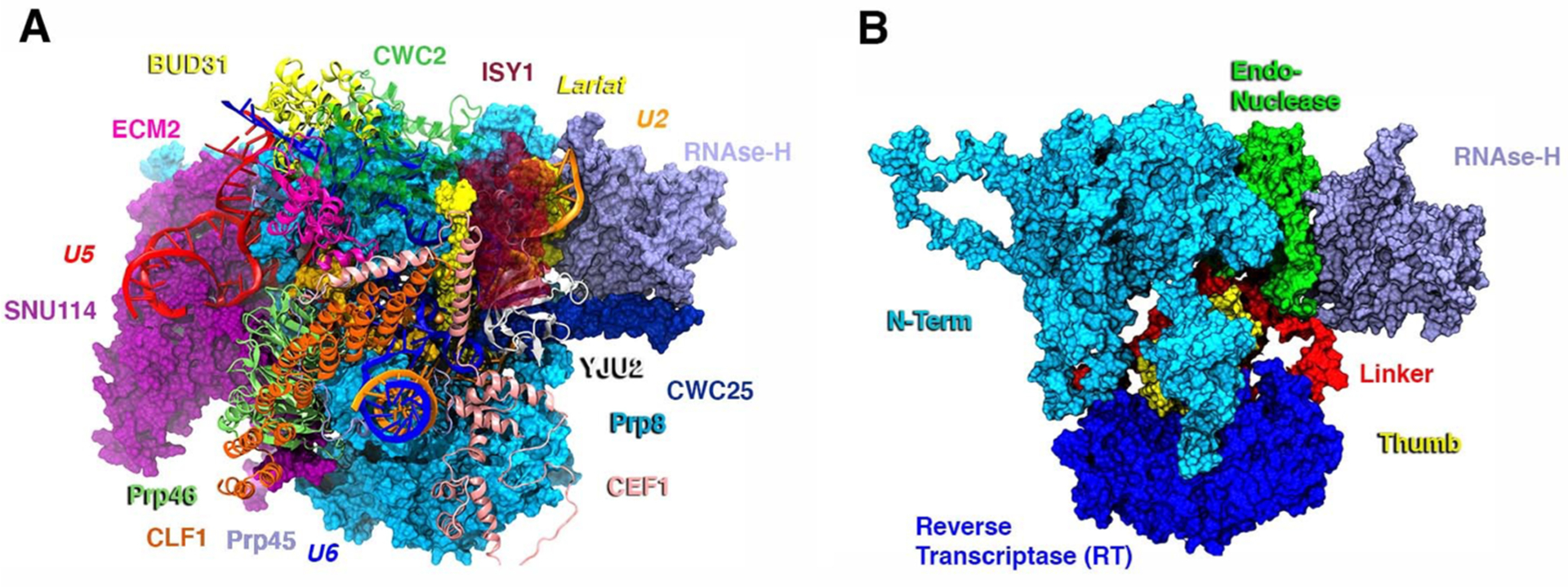 Figure 1.