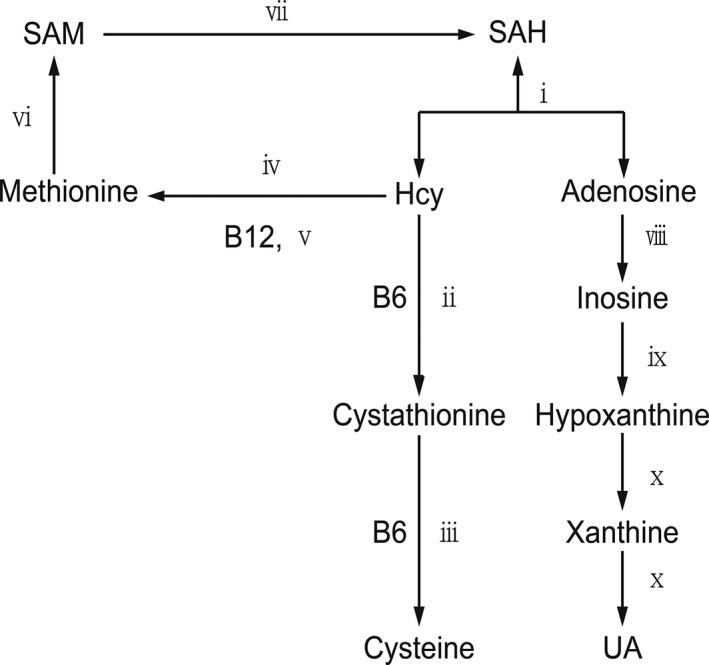 Figure 9