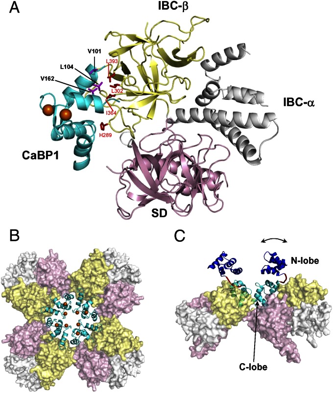 Fig. 2.