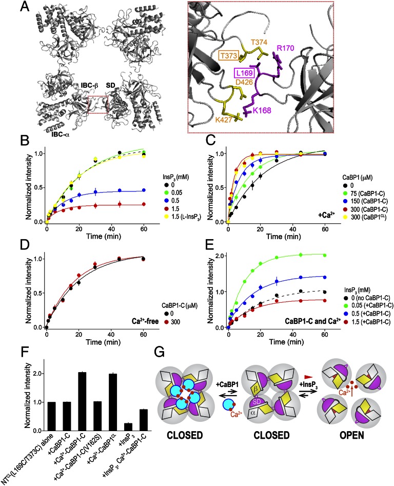 Fig. 4.