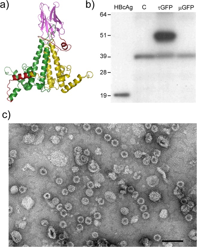 Fig 7