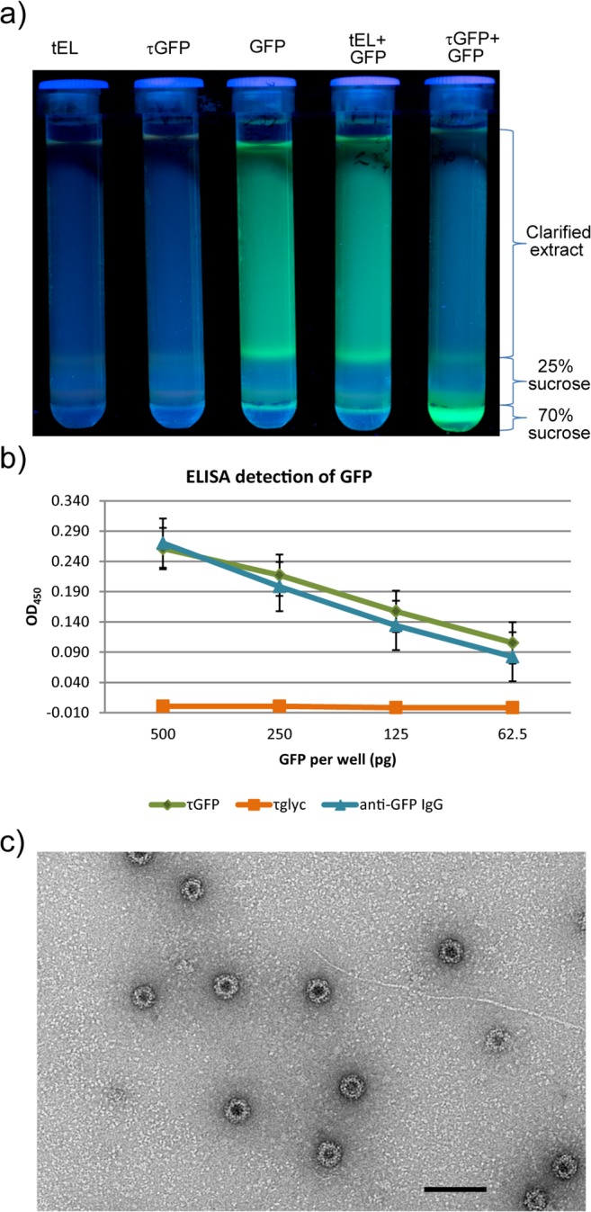 Fig 8