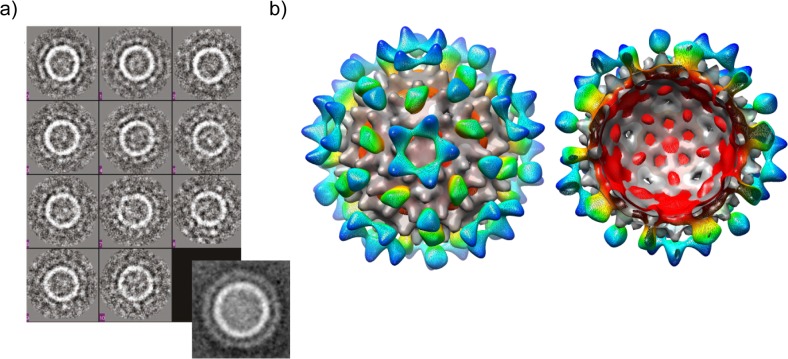 Fig 6