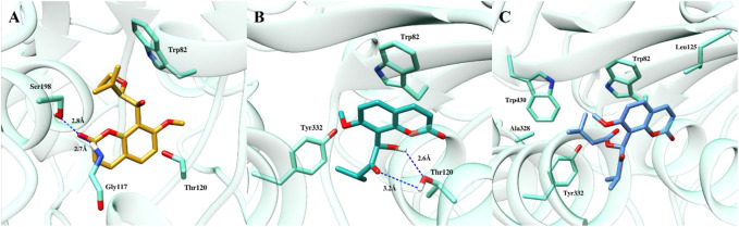 FIGURE 4