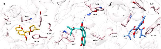 FIGURE 3