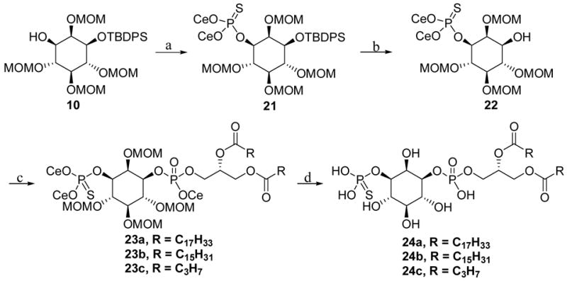 Scheme 6