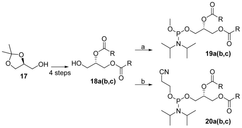 Scheme 5