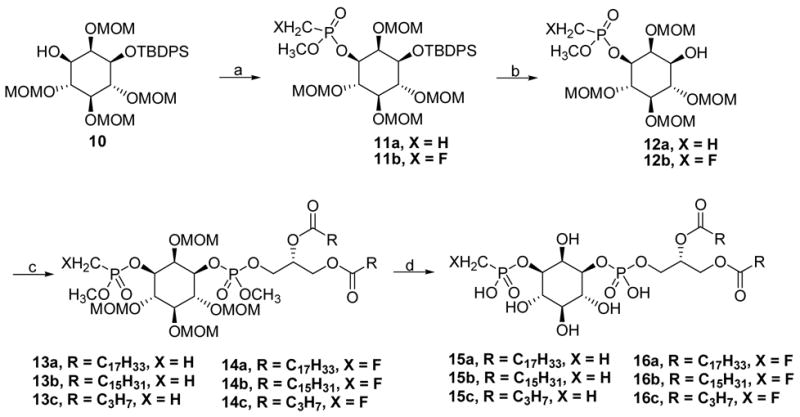 Scheme 4