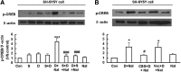 <b>FIG. 7.</b>