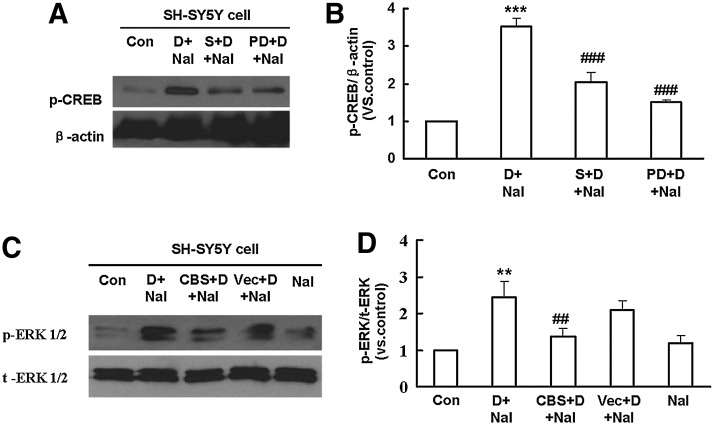 FIG. 8.