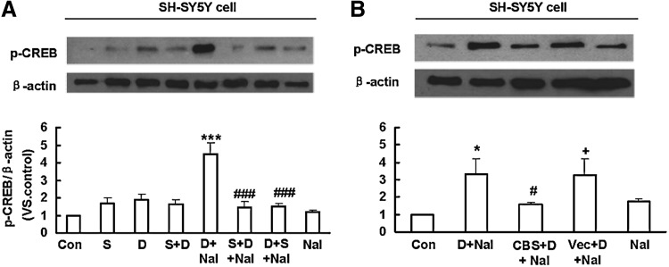 FIG. 7.