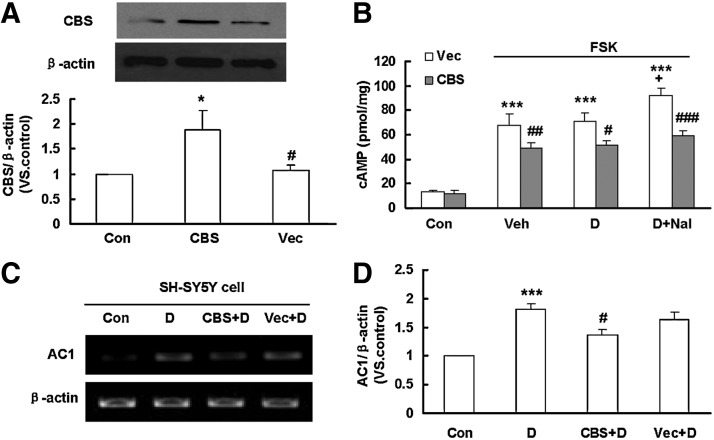 FIG. 6.