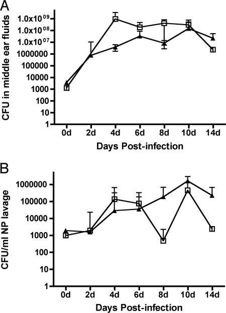 FIG. 1.