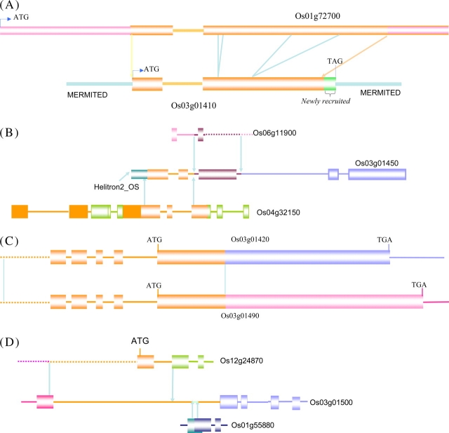 Figure 4.