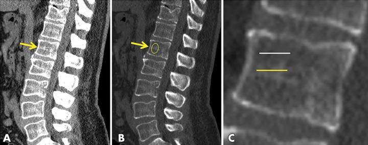 Figure 2: