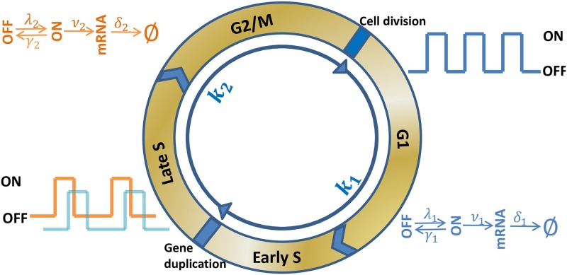 Fig 1