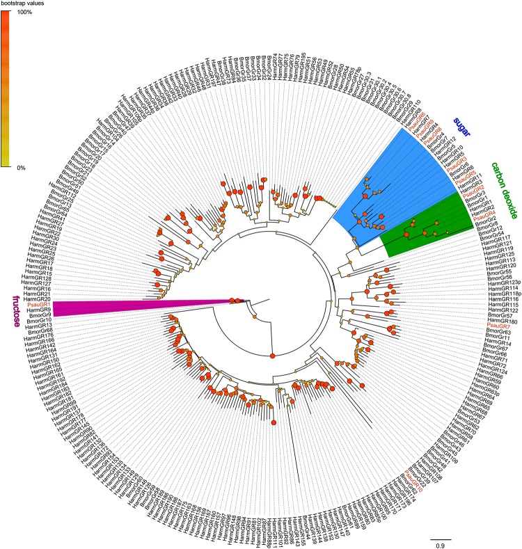 FIGURE 3