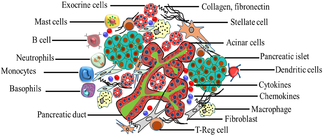 Fig. (4).