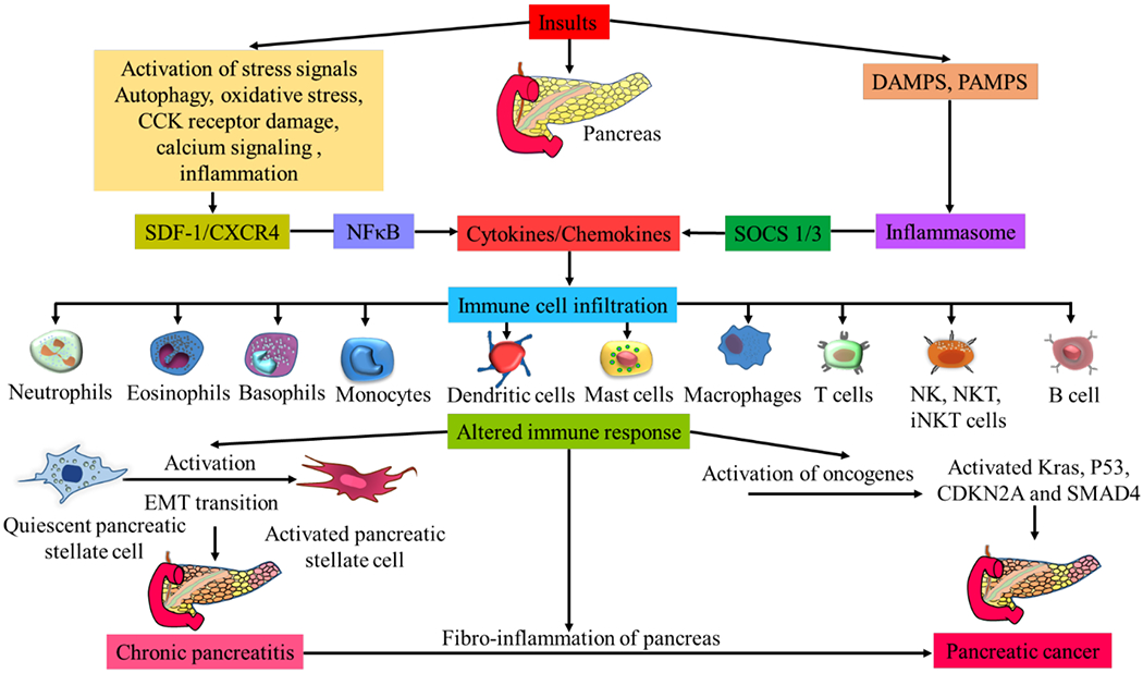 Fig. (1).