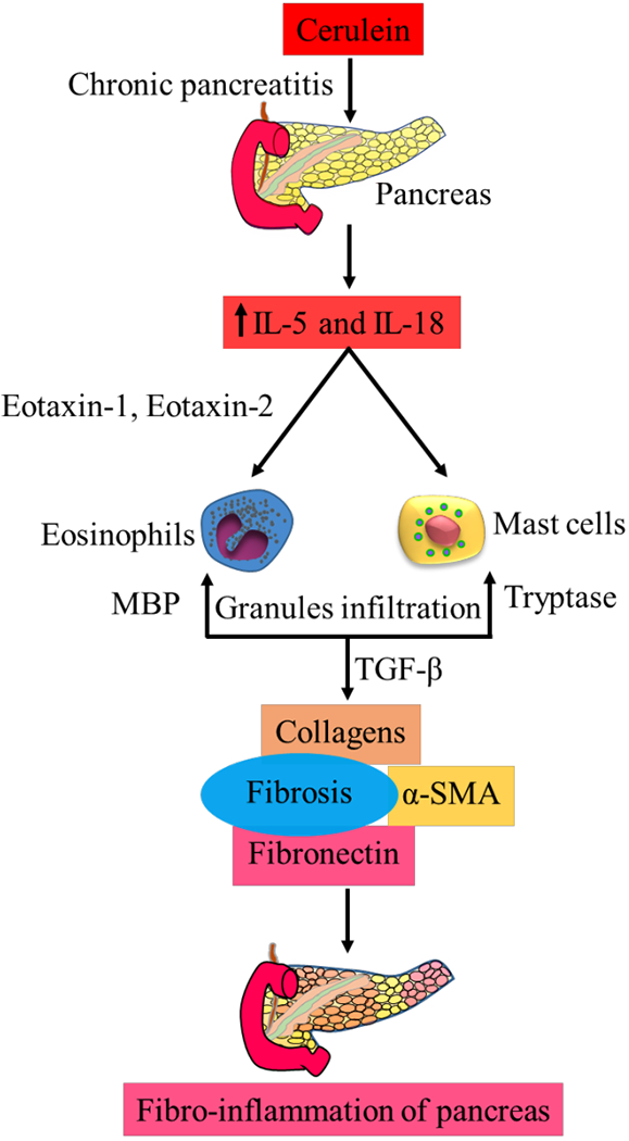 Fig. (2).