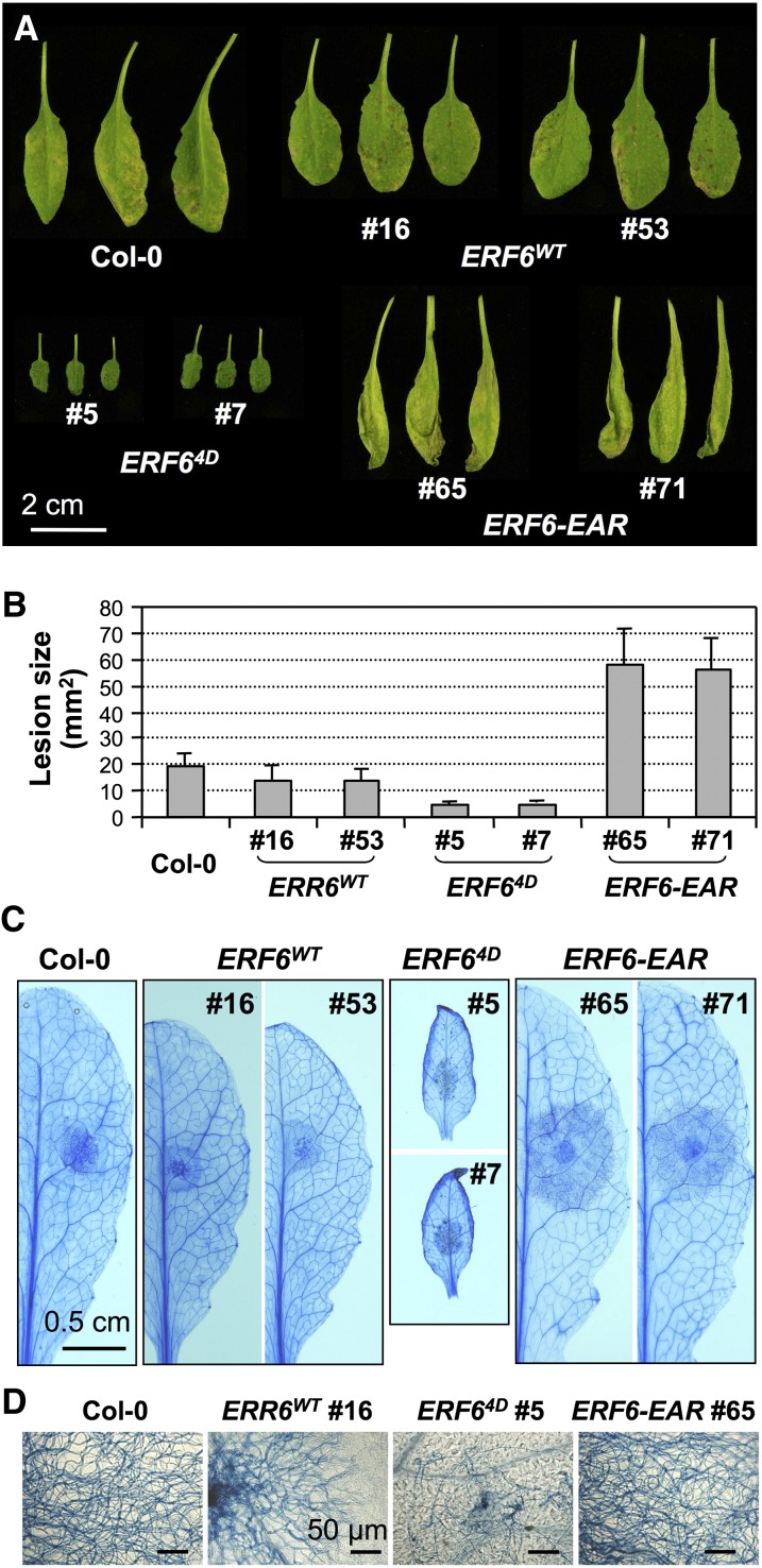 Figure 6.