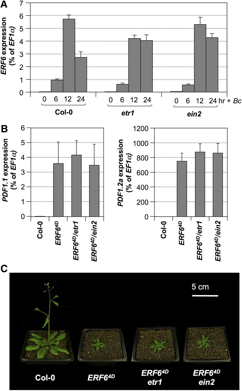 Figure 10.