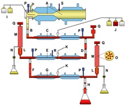 graphic file with name microorganisms-03-00725-i001.jpg