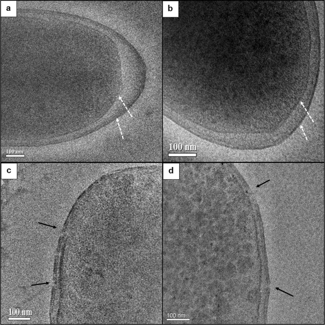 FIG 2