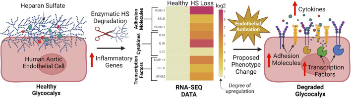 FIGURE 4