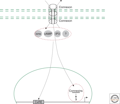 Figure 3.