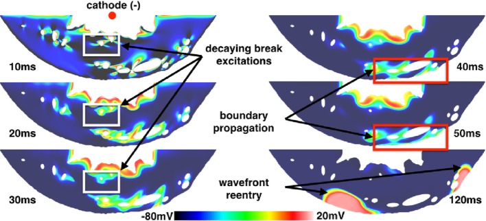 Figure 9