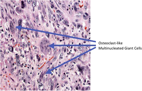 Fig. 1 –