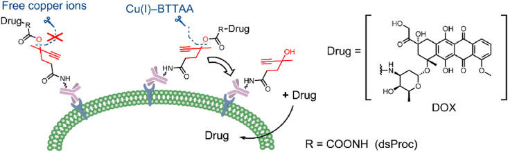 Figure 9