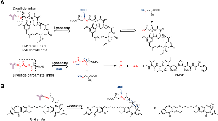 Figure 4